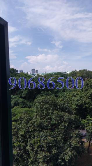 Rich Mansion (D10), Condominium #152576152